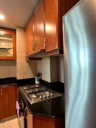 The Bencoolen (D7), Apartment #506134641